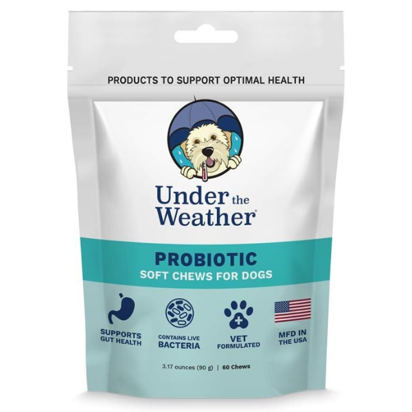 View of Vet Recommended Prebiotic & Probiotic Supplements for Dogs & Cats